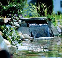 Embellir un jardin à Landresse : la création d’un point d’eau