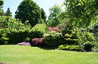 jardinier paysagiste Fontaine-En-Bray 76440