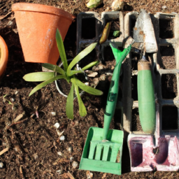 Conception de jardin : Création d'un espace extérieur unique et personnalisé Ploufragan