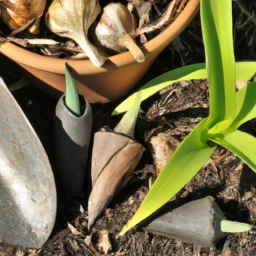 Aménagement de jardin champêtre : Création d'un jardin naturel et sauvage avec des fleurs des champs Canteleu