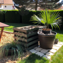 Choisir les bonnes plantes et arbres pour votre jardin Agde