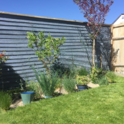 Taille et élagage : entretenir vos plantes pour une croissance optimale Bayeux